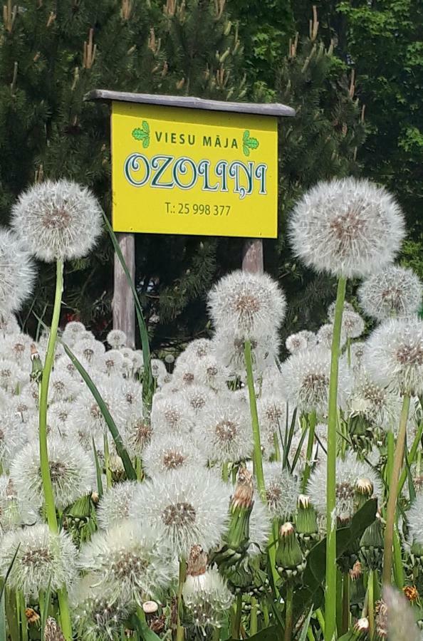 Viesu Maja "Ozolini" Βίλα Jurkalne Εξωτερικό φωτογραφία